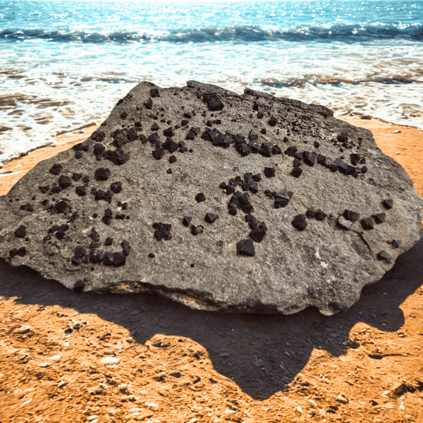 Magnetite on Matrix
